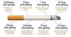 Read more about the article Here Is What Happens The Moment You Stop Smoking