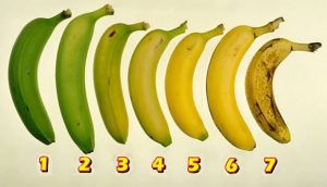 Read more about the article Which Banana Would You Eat? Your Answer May Have An Effect On Your Health