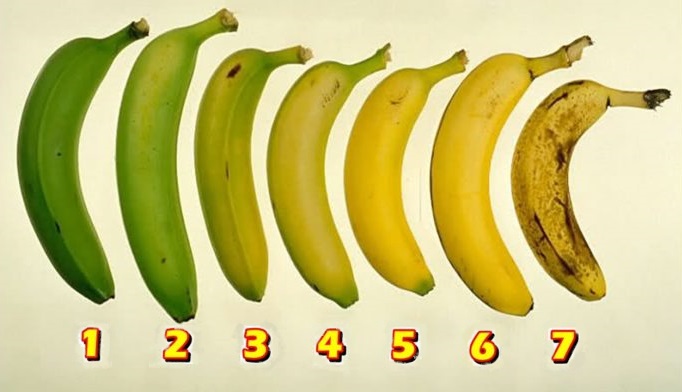 You are currently viewing Which Banana Would You Eat? Your Answer May Have An Effect On Your Health