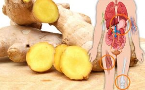 Read more about the article If You Eat Ginger Everyday For 1 Month This is What Happens To Your Body