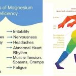 12 Foods Which Increase Magnesium And Prevent High Blood Pressure, Blood Clots And Muscle Fatigue