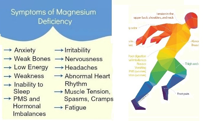 You are currently viewing 12 Foods Which Increase Magnesium And Prevent High Blood Pressure, Blood Clots And Muscle Fatigue