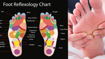 Reset Your Body’s Circulation
