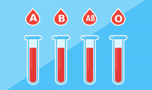 Read more about the article Blood Type Diet: What to Eat and Avoid According to Your Blood Type?