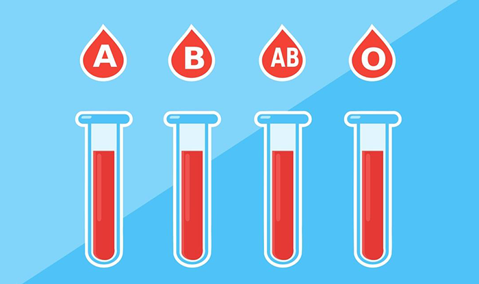 You are currently viewing Blood Type Diet: What to Eat and Avoid According to Your Blood Type?