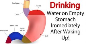 Read more about the article You Will Enjoy These 8 Benefits If You Drink Water On An Empty Stomach