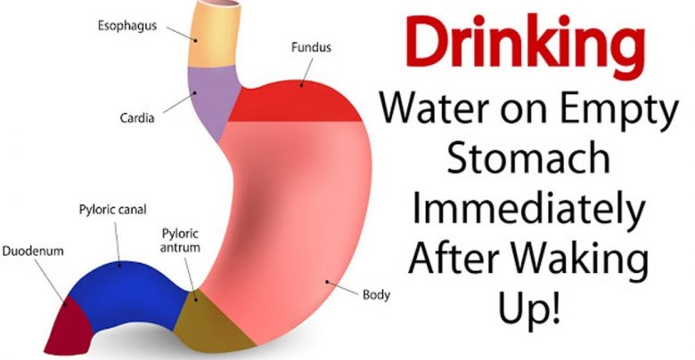You are currently viewing You Will Enjoy These 8 Benefits If You Drink Water On An Empty Stomach