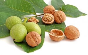 Read more about the article Walnuts Contain 4 To 15x More Vitamin E Than Other Nuts