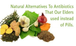 Read more about the article Natural Antibiotics That Our Elders Used Instead Of Pills