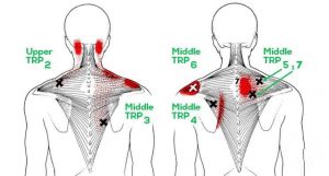 Read more about the article Try These 15 Stretches to Relieve a Stiff Neck, Tight Shoulders And Upper Back Pain!