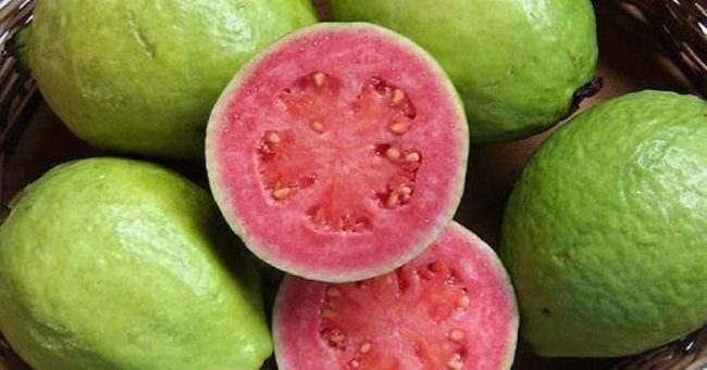 You are currently viewing Guava Contains 4x More Vitamin C Than An Orange, And 10x More Vitamin A Than A Lemon
