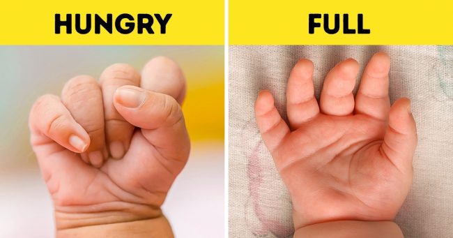 You are currently viewing 18 Signs That Will Help You To Understand Your Baby Before They Can Speak
