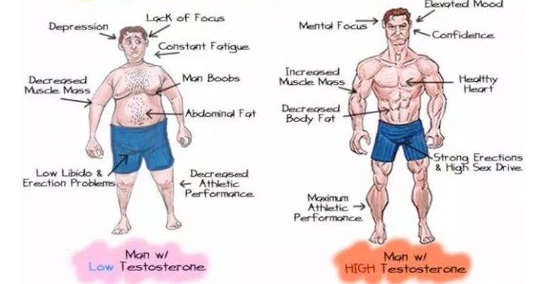 You are currently viewing 5 Natural Ways To Fix Low-Testosterone For Increased Libido and Weight Loss