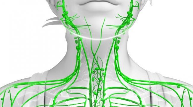 You are currently viewing Signs of a Clogged Lymphatic System and 10 Ways to Cleanse It
