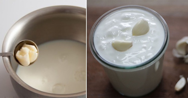 You are currently viewing Garlic Milk Is The Home Remedy That’ll Give You Relieve Sciatica And Back Pain