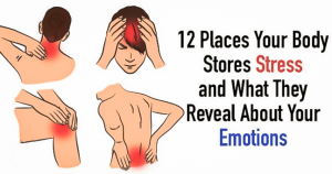 Read more about the article 12 Places Your Body Stores Stress and What They Reveal About Your Emotions