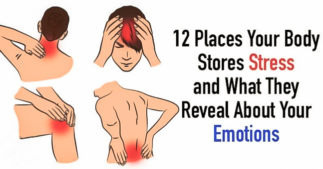 You are currently viewing 12 Places Your Body Stores Stress and What They Reveal About Your Emotions