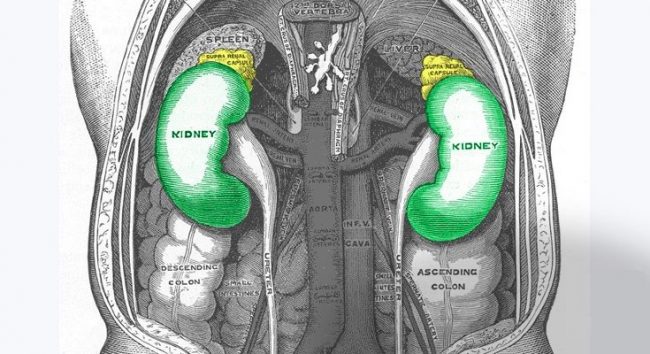 You are currently viewing Top 10 Deadly Habits Seriously Damaging Your Kidneys