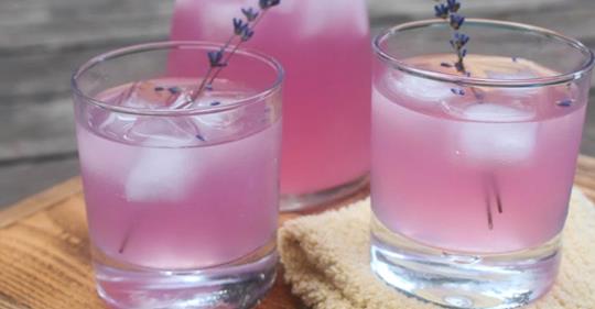 You are currently viewing Lavender Lemonade Is The Best And Most Natural Way To Get Rid Of Headaches & Anxiety