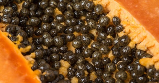 You are currently viewing How To Eat Papaya Seeds To Detoxify Liver, Kidneys And Heal Digestive Tract