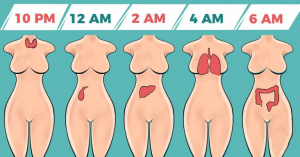 Read more about the article Why You’re Waking Up At The Same Time Every Night