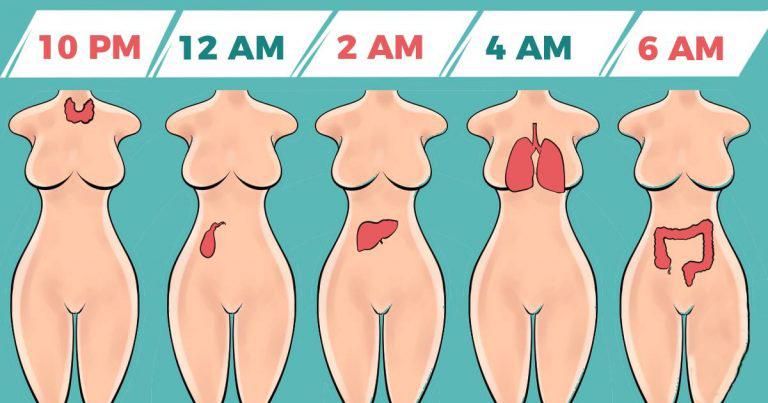 You are currently viewing Why You’re Waking Up At The Same Time Every Night