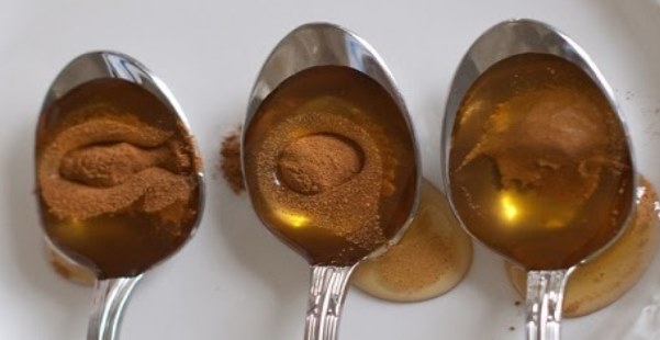 You are currently viewing Cinnamon and Honey: Most Powerful Remedy That Not Even Doctors Can Explain