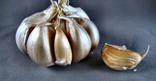 You are currently viewing Garlic Proven 100 Times More Effective Than Antibiotics, Working In A Fraction of The Time