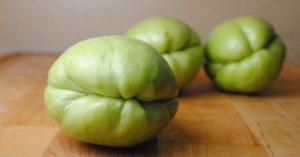 Read more about the article This Gourd Is Excellent For Reducing Hypertension, Enhancing Brain Function And Reduce Leg Cramps