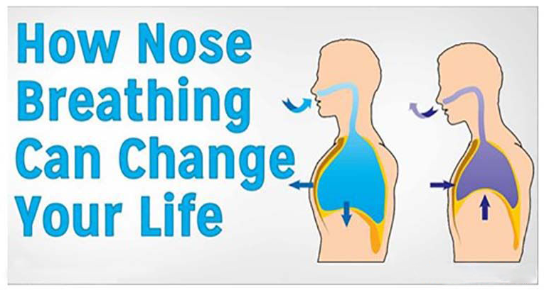 You are currently viewing How Nose Breathing Can Change Your Life