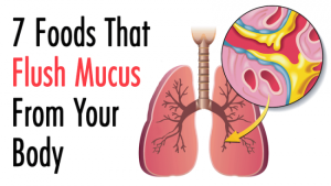 Read more about the article 7 Foods That Flush Mucus From Your Body
