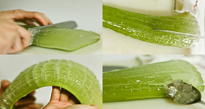 Read more about the article Mind Blowing Reasons Why Aloe Vera Is A Miracle Medicine Plant. You Will Never Buy Expensive Products Again!