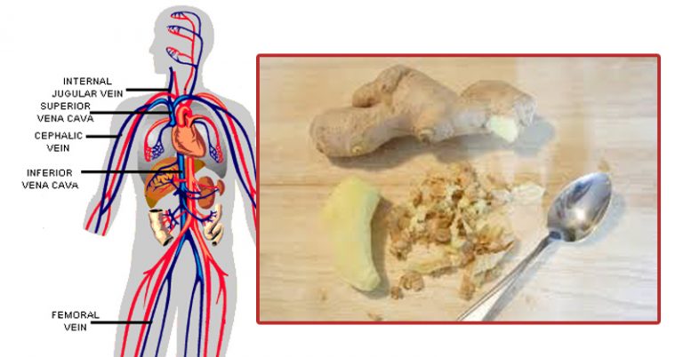 You are currently viewing These Are The Incredible Things That Happen To Your Body When You Start Eating Ginger Every Day