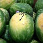 How To Choose The Sweetest Watermelon