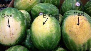 Read more about the article How To Choose The Sweetest Watermelon