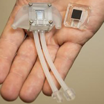 This Artificial Kidney Could Eliminate The Need For Kidney Dialysis