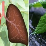 Are You Short Of Breath? Here Are The 15 Most Powerful Herbs For Your Lungs’ Health