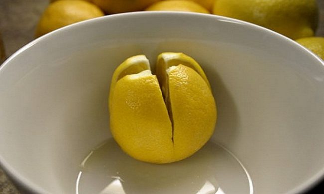You are currently viewing Cut Lemons And Put Them Near The Bed You Sleep