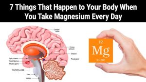 Read more about the article 7 Things That Happen to Your Body When You Take Magnesium Every Day
