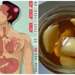 Have Garlic And Honey On Empty Stomach. After A Week, The Body Will Be Changed and Healed of Many Diseases