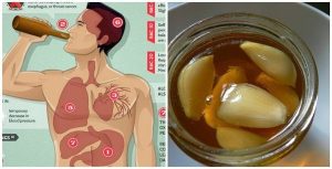 Read more about the article Have Garlic And Honey On Empty Stomach. After A Week, The Body Will Be Changed and Healed of Many Diseases
