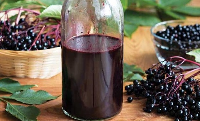 You are currently viewing Elderberry Can Totally Eliminate Cold And Flu Symptoms ‘Within 48 Hours’