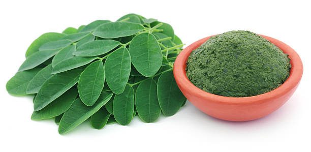 You are currently viewing Top 10 Moringa Benefits You Didn’t Know About