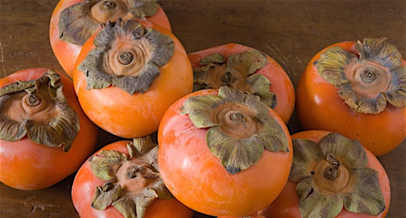 You are currently viewing The Therapeutic Benefits of Persimmon Many People Don’t Know About