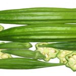 Okra Controls Hunger And Diabetes, Lowers Cholesterol And Removes Fatigue