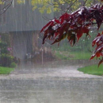 The Smell Of The Rain Reduces Stress And 7 Other Benefits Of Walking In The Rain