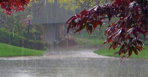 Read more about the article The Smell Of The Rain Reduces Stress And 7 Other Benefits Of Walking In The Rain