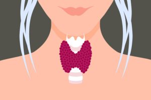 Read more about the article Everything You Need to Know About Every Thyroid Disorder: Signs, Symptoms, Causes, Treatments