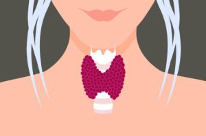 Read more about the article Everything You Need to Know About Every Thyroid Disorder: Signs, Symptoms, Causes, Treatments