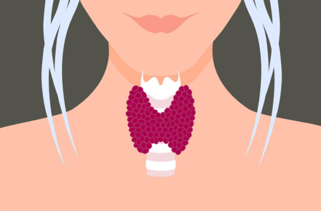 You are currently viewing Everything You Need to Know About Every Thyroid Disorder: Signs, Symptoms, Causes, Treatments